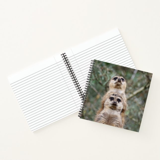 Meerkat 081 notebook (Inside)