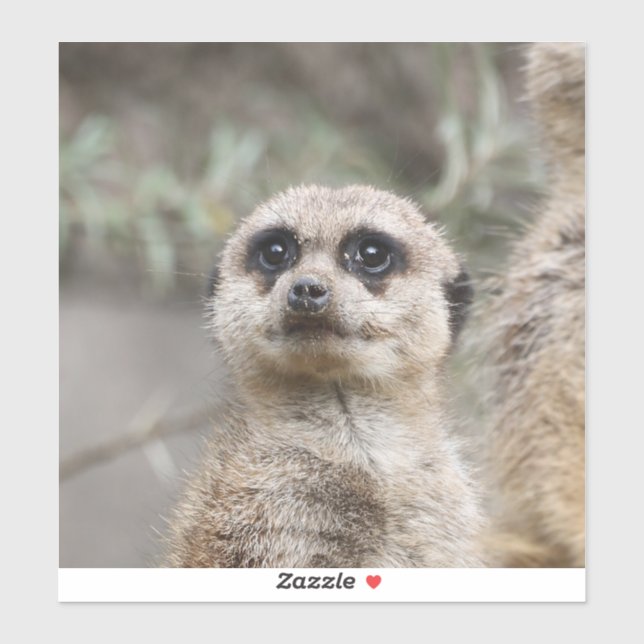 Meerkat 082 sticker (Sheet)