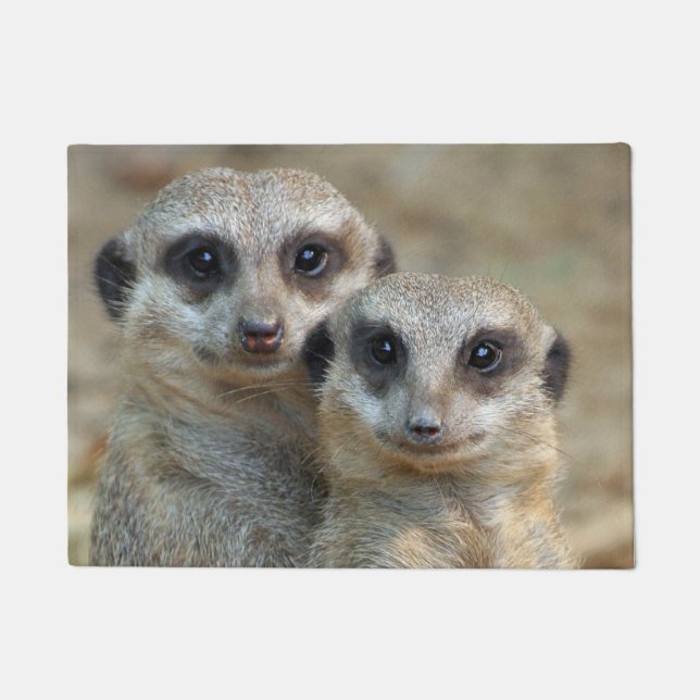Meerkat 085 doormat (Front)