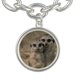 Meerkat 090 charm bracelet