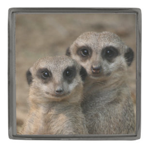 Meerkat 098 gunmetal finish lapel pin
