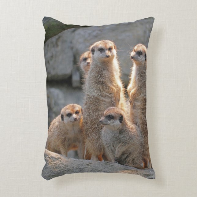 Meerkat 110 accent pillow (Front(Vertical))