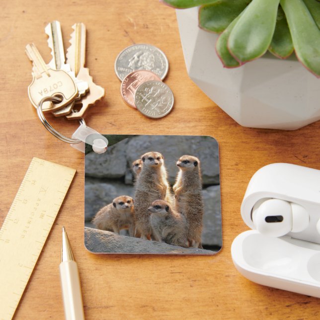 Meerkat 110 keychain (Desk)