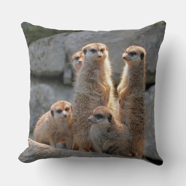 Meerkat 110 throw pillow (Front)