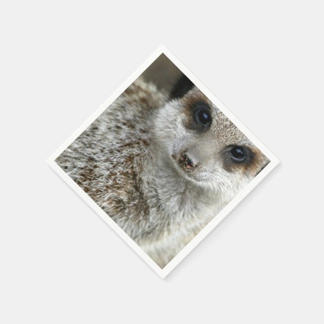 meerkat-16.jpg paper napkins (Corner)