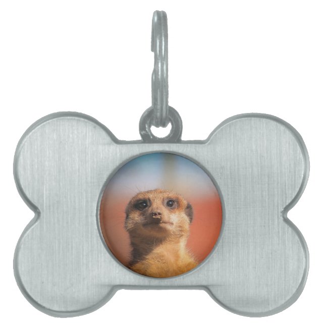 Meerkat_2015_0401 Pet Name Tag (Front)