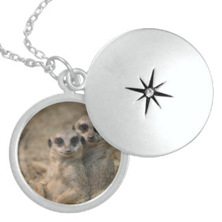 Meerkat_20170901_by_JAMFoto Locket Necklace