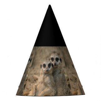 Meerkat_20170901_by_JAMFoto Party Hat