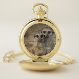 Meerkat_20170901_by_JAMFoto Pocket Watch