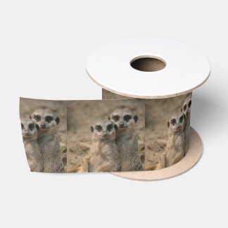 Meerkat_20170901_by_JAMFoto Satin Ribbon