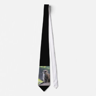 Meerkat_20180701_by_JAMFoto Neck Tie