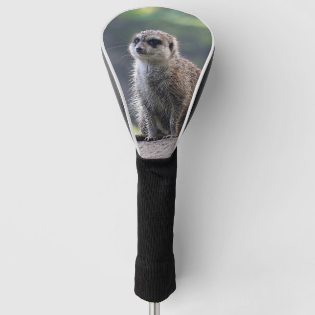 Meerkat_2019001 Golf Head Cover (Front)