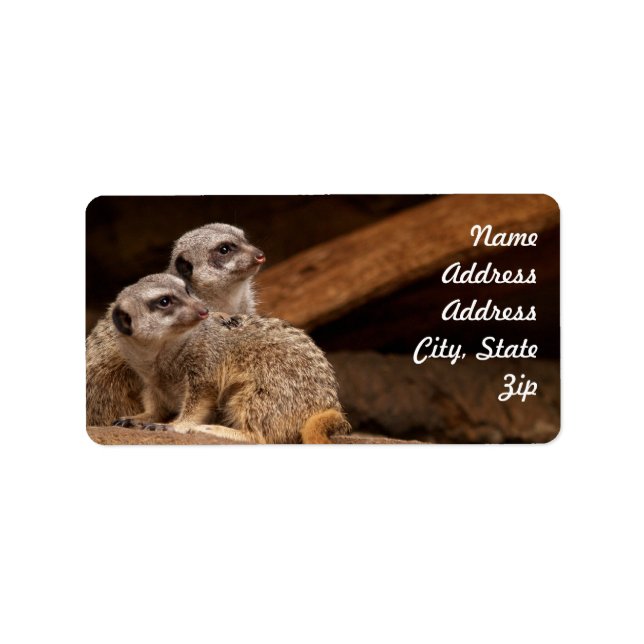 Meerkat Address Sticker (Front)
