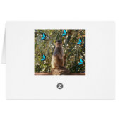 Meerkat And Blue Butterflies, (Back Horizontal)