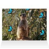 Meerkat And Blue Butterflies, (Inside Horizontal (Top))