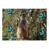 Meerkat And Blue Butterflies, (Front Horizontal)