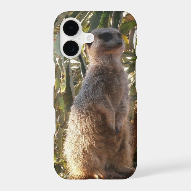 Meerkat And Blue Butterflies, Case-Mate iPhone Case (Back)