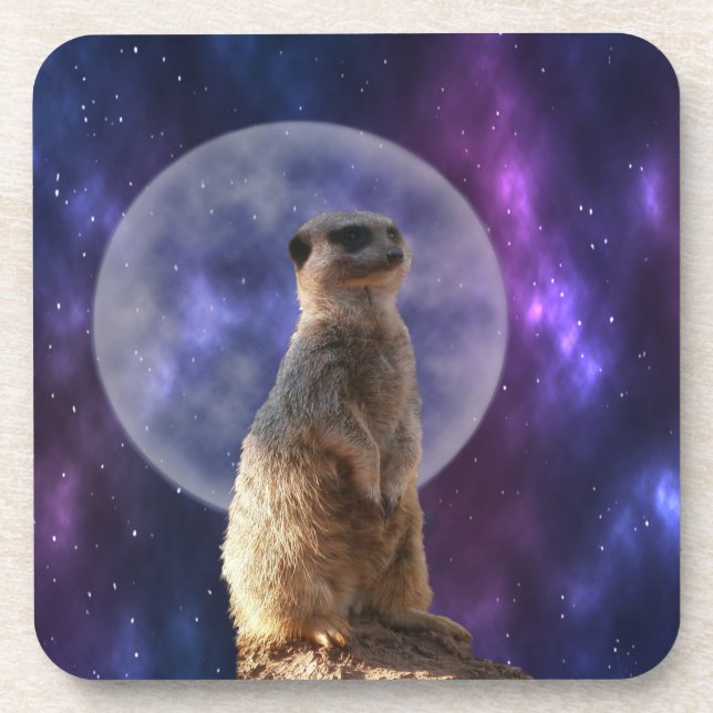 Meerkat And Full Moon, Beverage Coaster (Front)