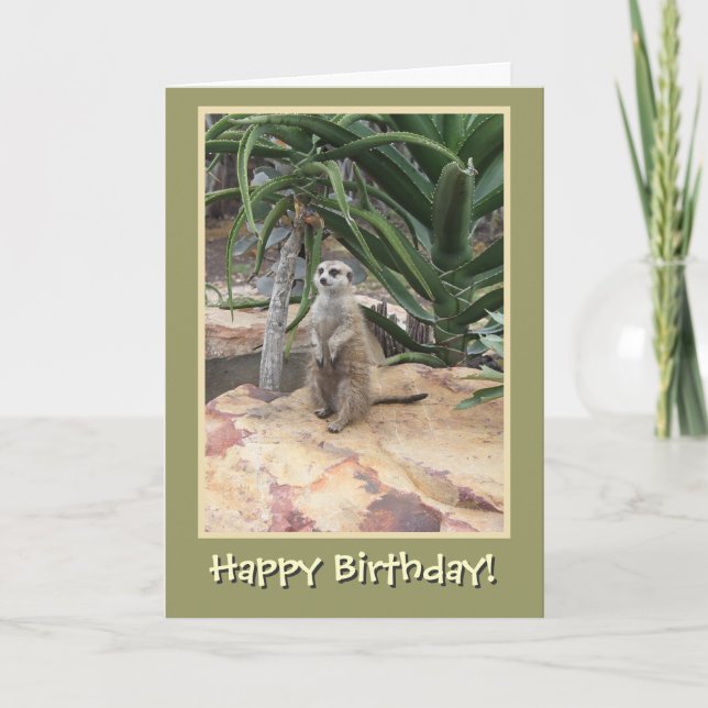 Meerkat and Happy Birthday Card (Front)