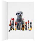 Meerkat And Meerkats Picture Logo, (Inside (Right))