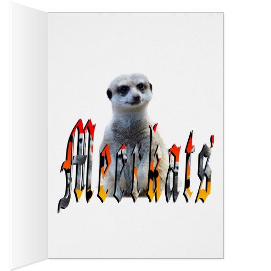 Meerkat And Meerkats Picture Logo, (Inside (Right))