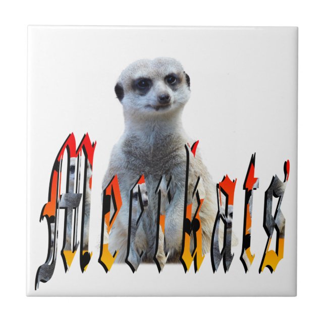 Meerkat And Meerkats Picture Logo, Ceramic Tile (Front)