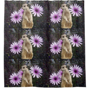 Meerkat And Purple Daisies, Shower Curtain