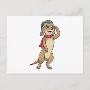 Meerkat as Pilot with Pilot hat Postcard