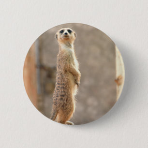 Meerkat at Attention Button
