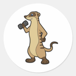 Meerkat at Strength training with Dumbbell Classic Round Sticker