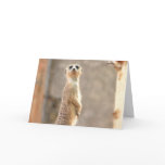 Meerkat Attention Greeting Card