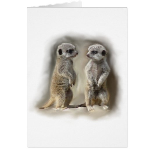 Meerkat baby twins cards (Front)