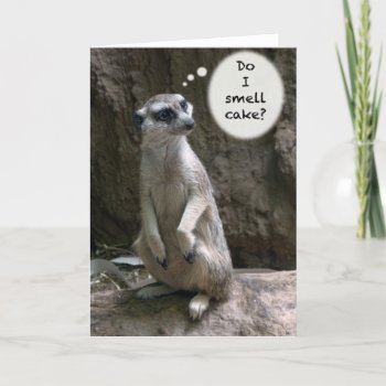 Meerkat Birthday Card by erinphotodesign at Zazzle