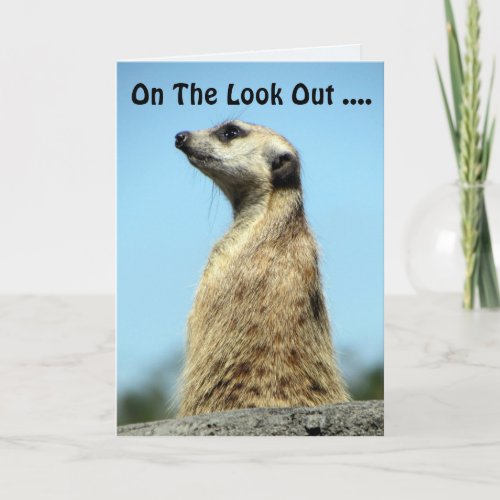 Meerkat Birthday Card