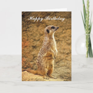 Cute Meerkat Blushing Birthday Card A5 Personalised with own words 