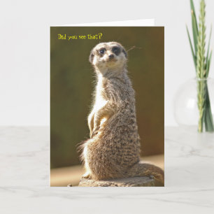 Meerkat Birthday Card