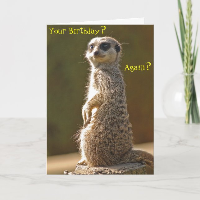 Meerkat Birthday Card (Front)