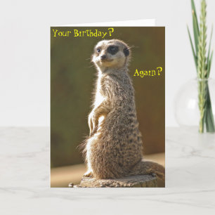 Meerkat Birthday Card