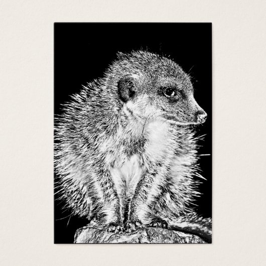 Meerkat, Black and White (Front)