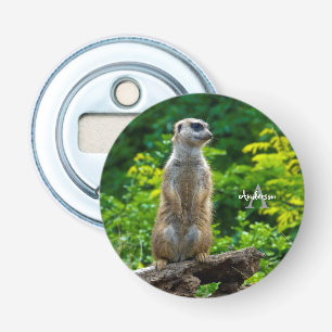 Meerkat Bottle opener