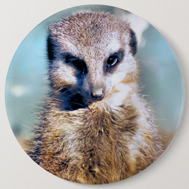 MEERKAT BUTTON (Front)