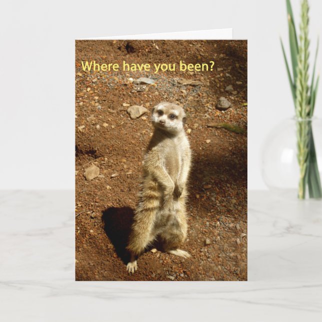 meerkat card (Front)