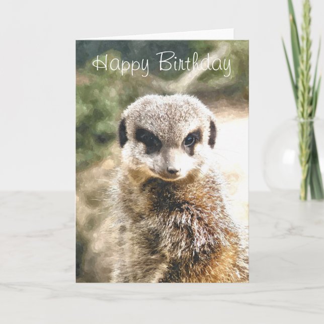 MEERKAT CARD (Front)