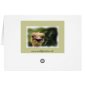 Meerkat Card (Back Horizontal)