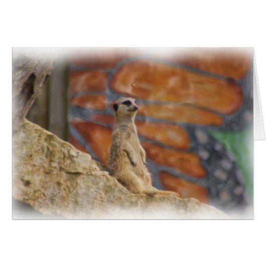 Meerkat Card (Front Horizontal)