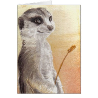 Meerkat Cards