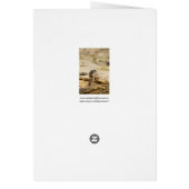 Meerkat Cards (Back)