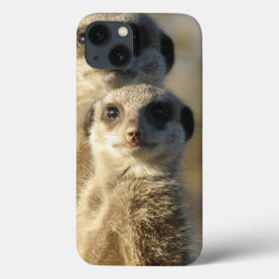 Meerkat iPhone 13 Case
