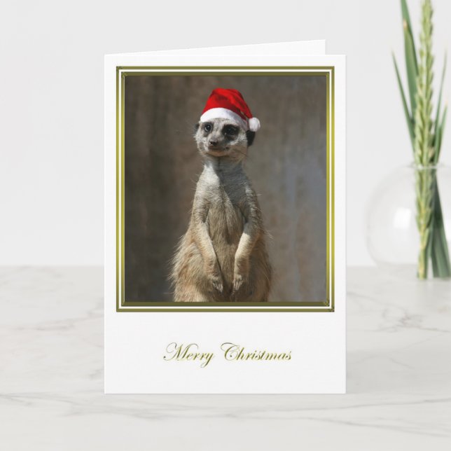 Meerkat Christmas 2 Holiday Card (Front)