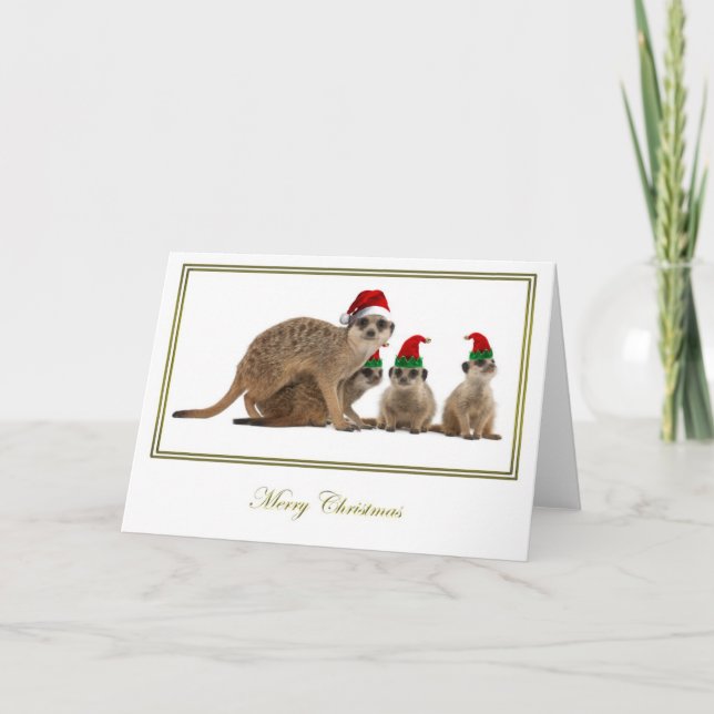 Meerkat Christmas 3 Holiday Card (Front)